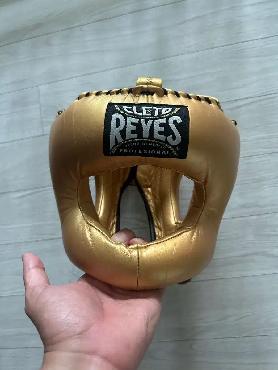 レジェス コボホ ヘッドギア 出品