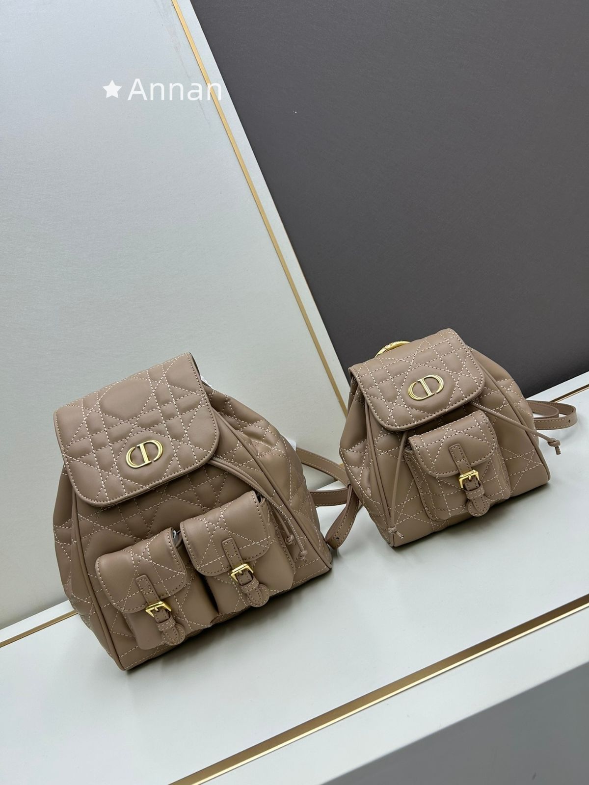 限定価格 本日特価 本日限定！レディース Christian Dior クリスチャンディオール リュック バックパック