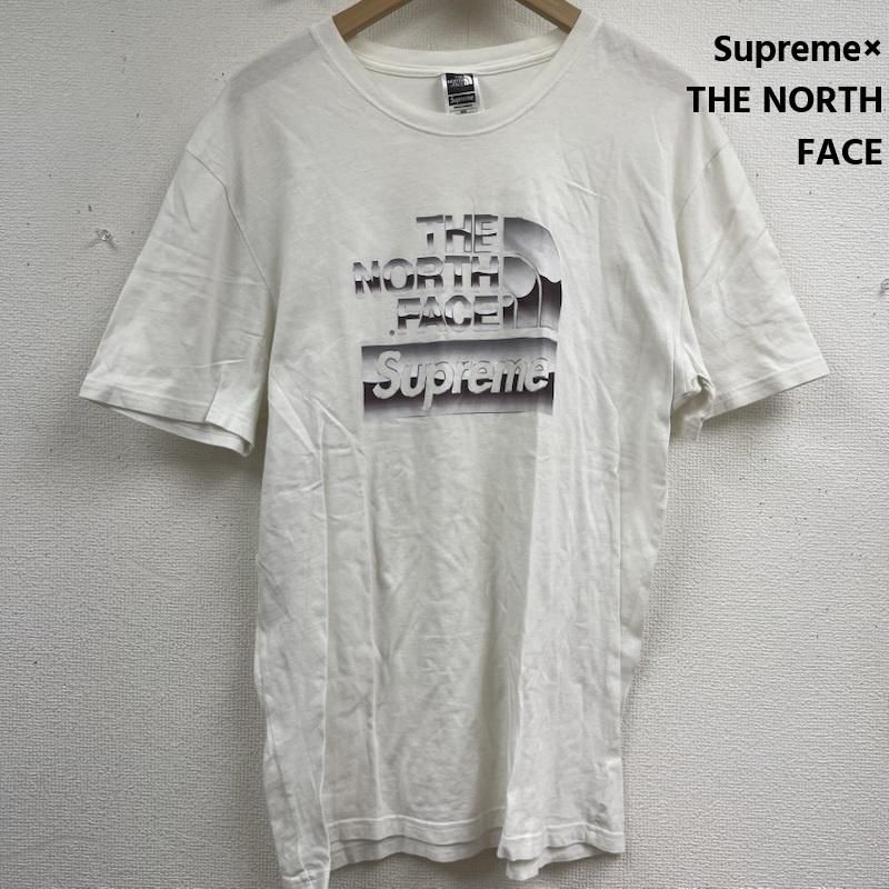 シュプリーム THE NORTH FACE 18SS Metallic Logo T-Shirt 