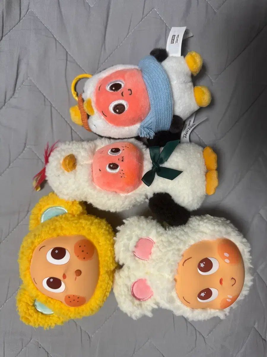 正規品 Little Star 펭별など まとめ出品