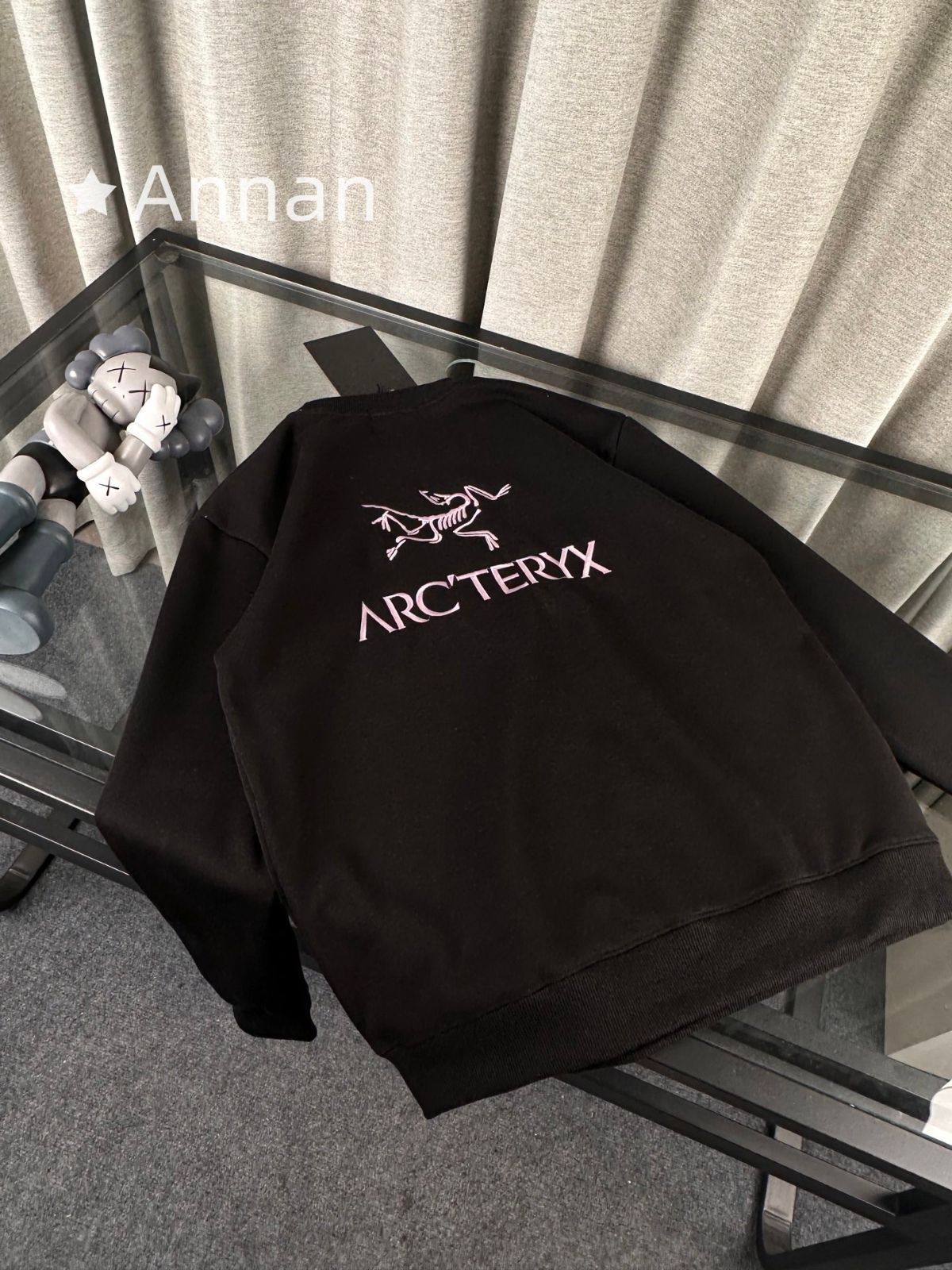 激レア 超美品 新品！新品 タグ付 ARC'TERYX アークテリクス パーカー シンプルフード付きパーカー ユニセックス