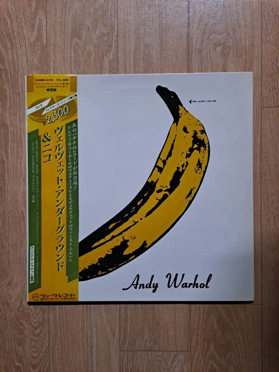 #プログ VELVET UNDERGROUND ＆ NICO
