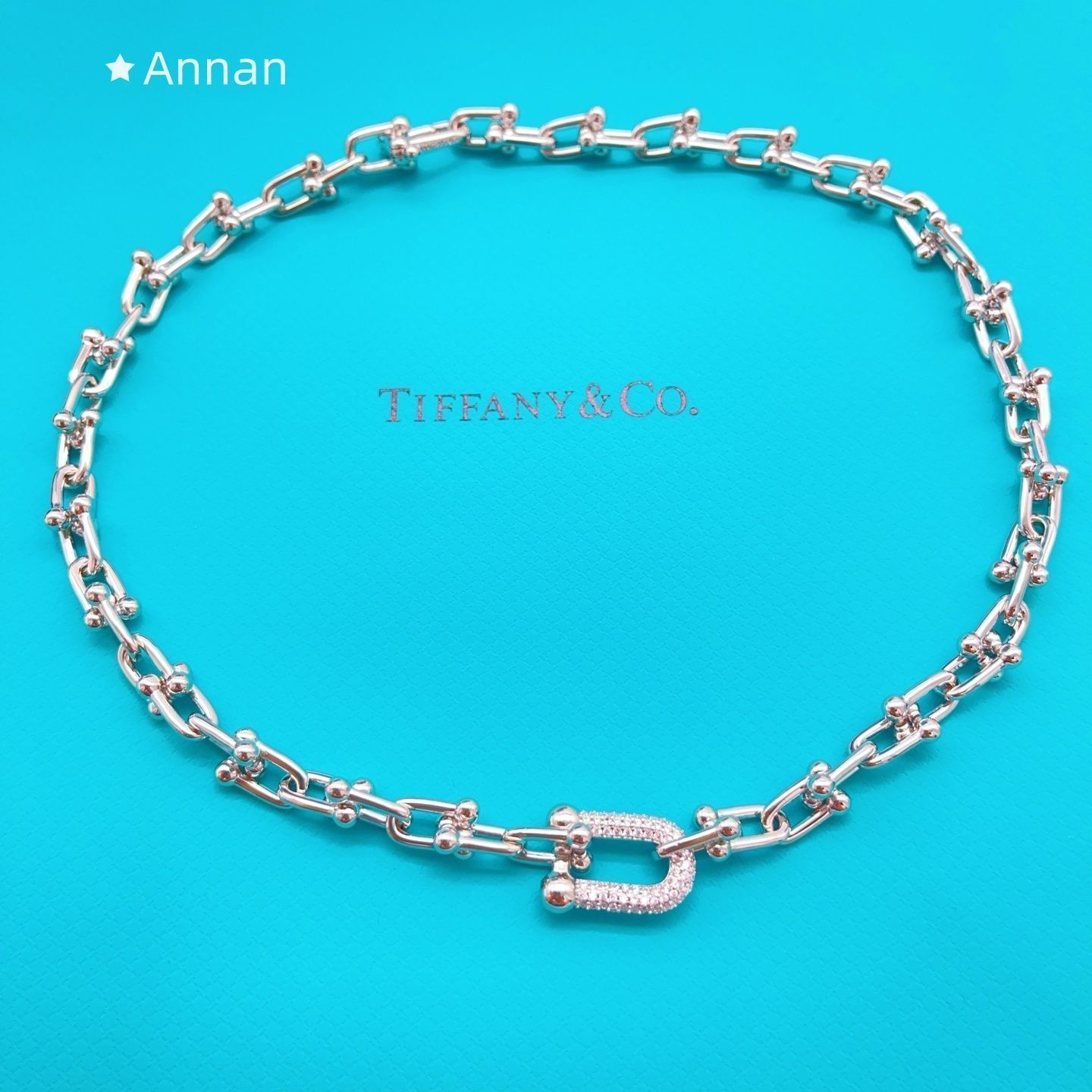 【希少品】綺麗 新品 TIFFANY & CO. ティファニー ネックレス レディース 結婚式 卒業式 清楚 イベント 入学式