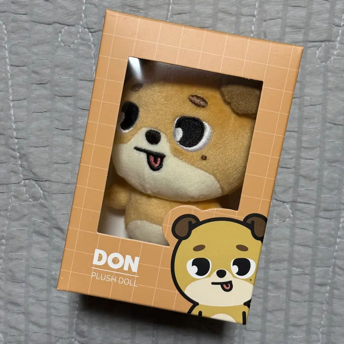 DAY6(デイシックス) ドウン(DOWOON) プティ・メルツ お金 証明写真