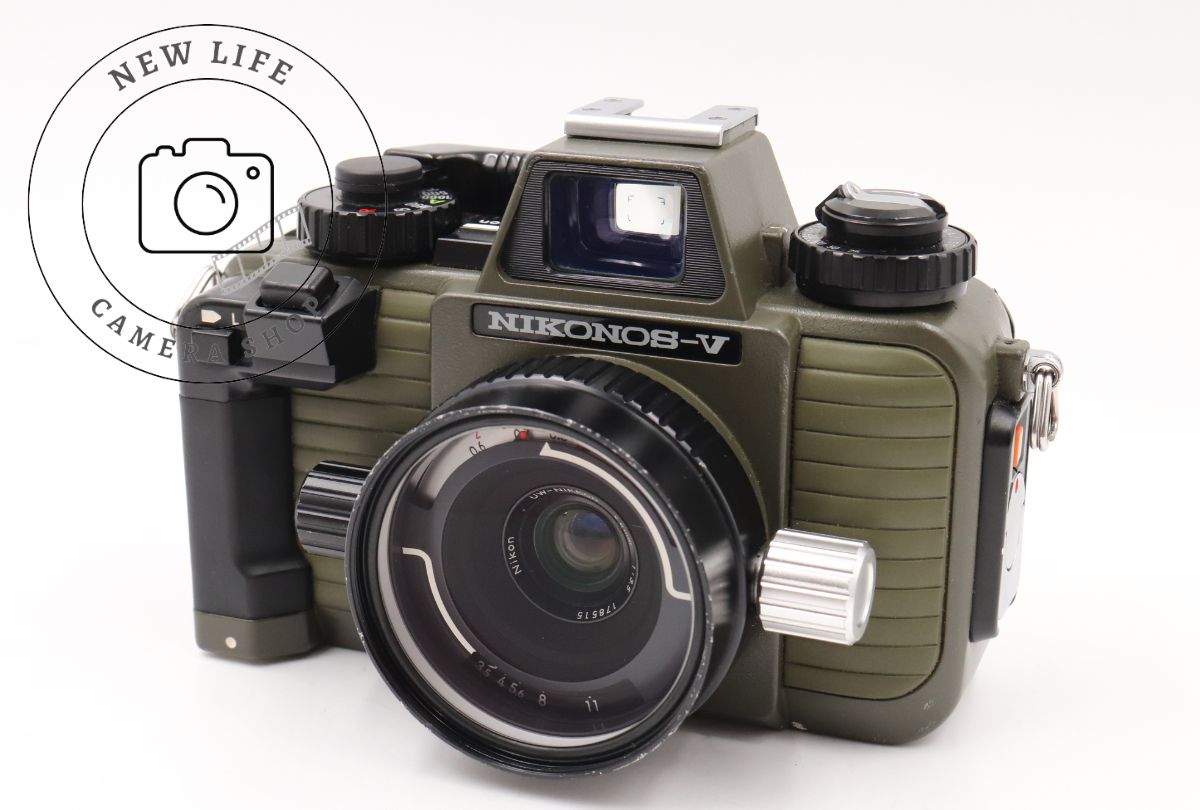 パルナシウス・エバースマニ・トル（オス、アラスカ産） 昆虫用品 パルナシウス・エバースマニ・トル（オス、アラスカ産）