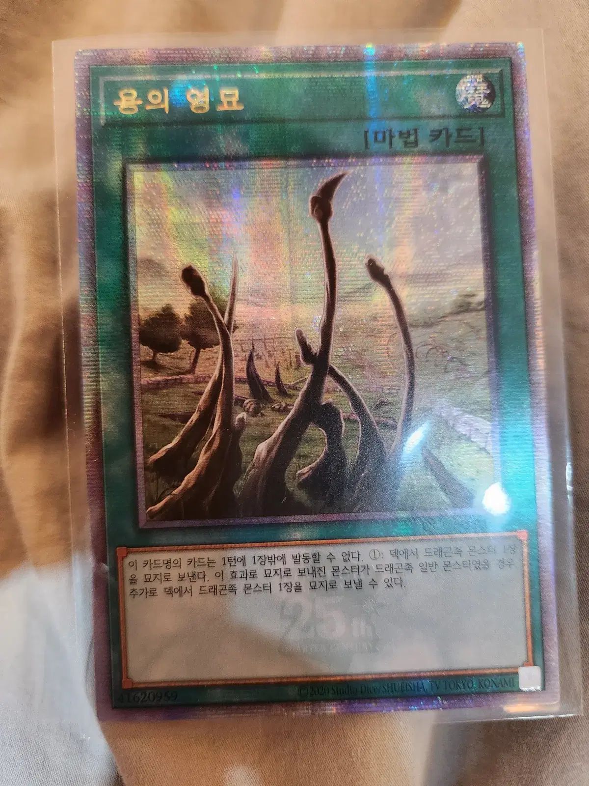 遊☆戯☆王 용의영묘 カード 出品