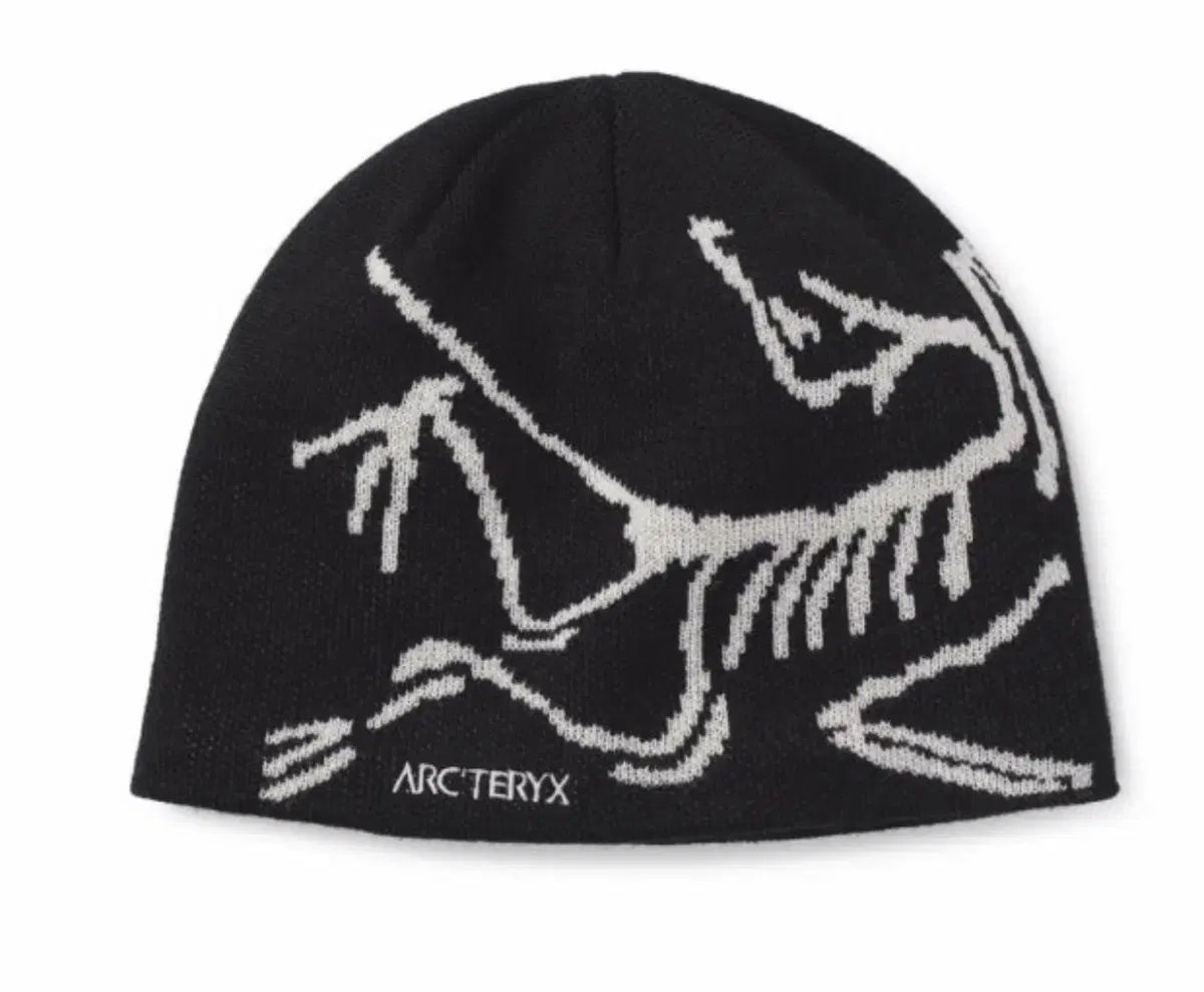アークテリクス BIRDHEAD トーク 9,618円