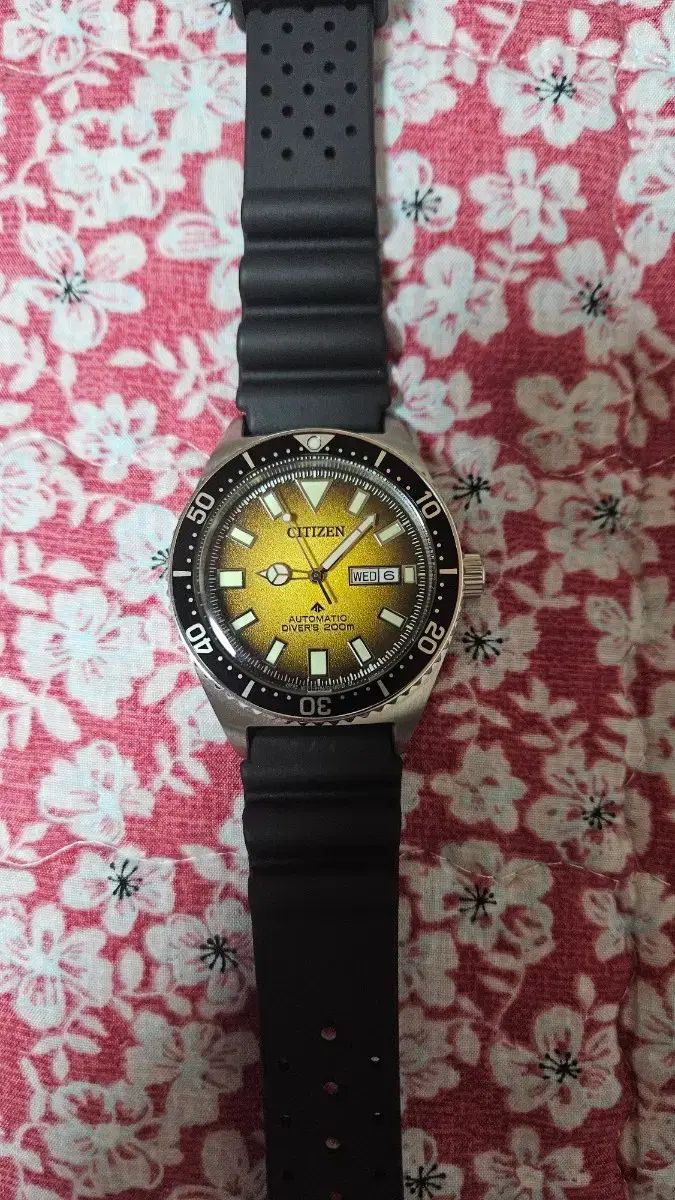 CITIZEN シチズン ダイバー NY0120-01X