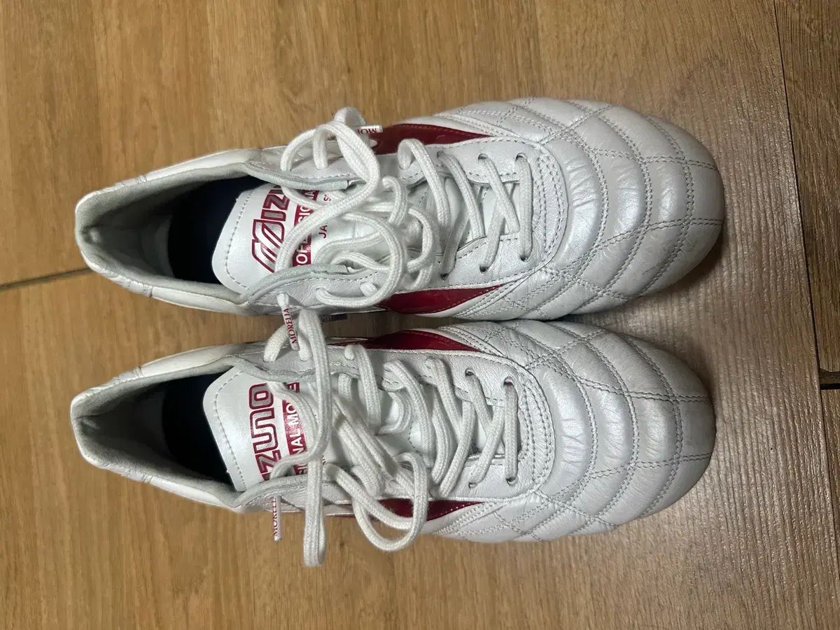 モレリア2 ag jpn 265 出品