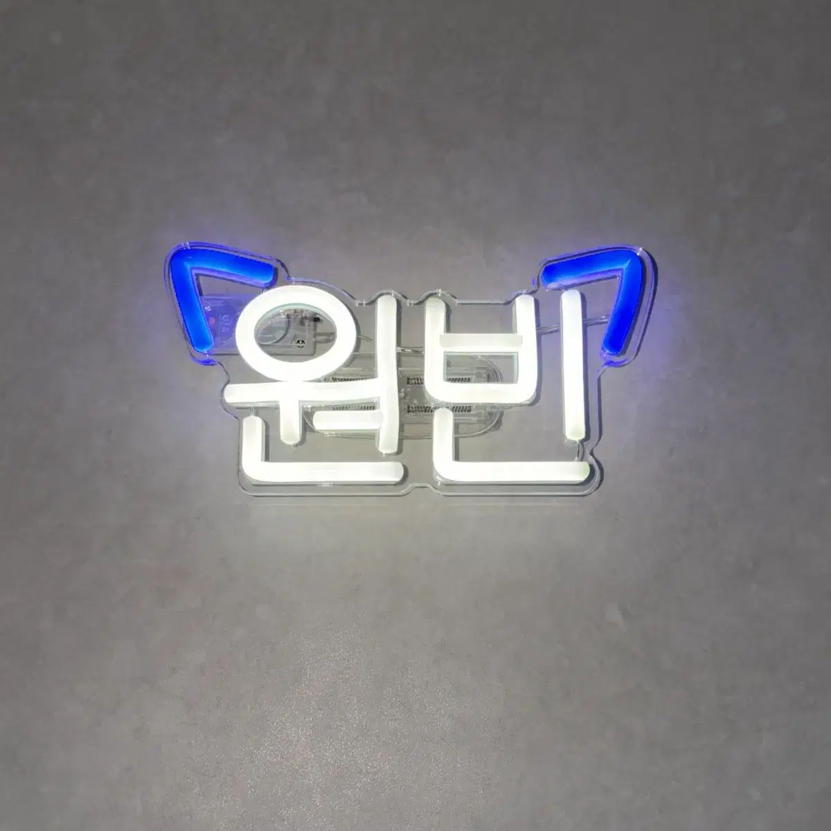 RIIZE(ライズ) ウォンビン(WONBIN) 応援ペンライト バッグクリップ 携帯用 LEDネオンサイン