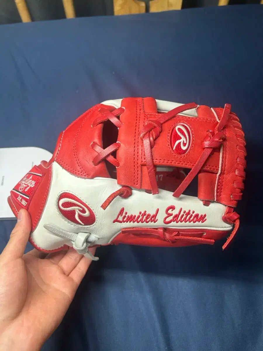 (限定モデル) ローリングス hoh 野球グローブ