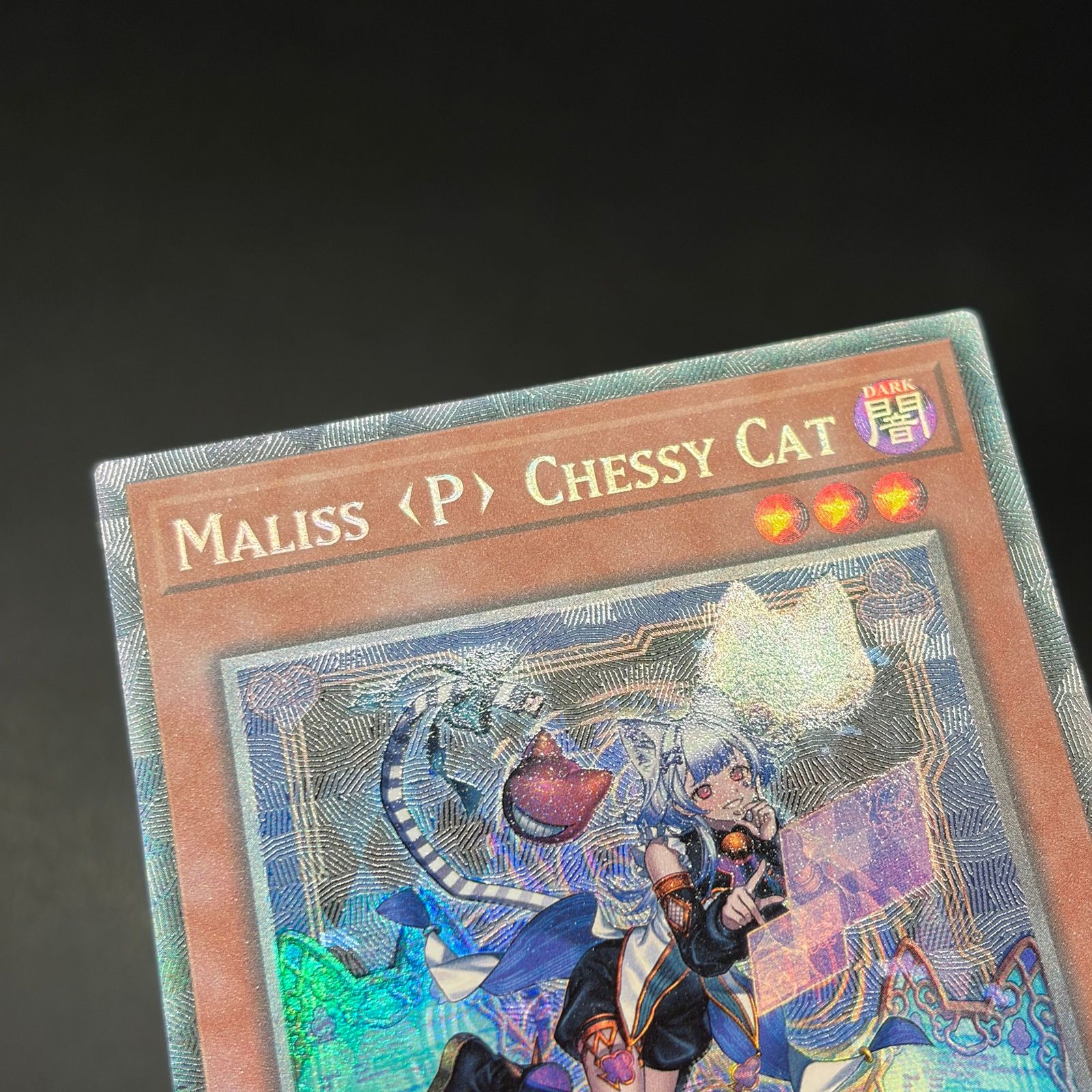 M∀LICE＜P＞Cheshire Cat/コレクターズ/英語/1st/EU 