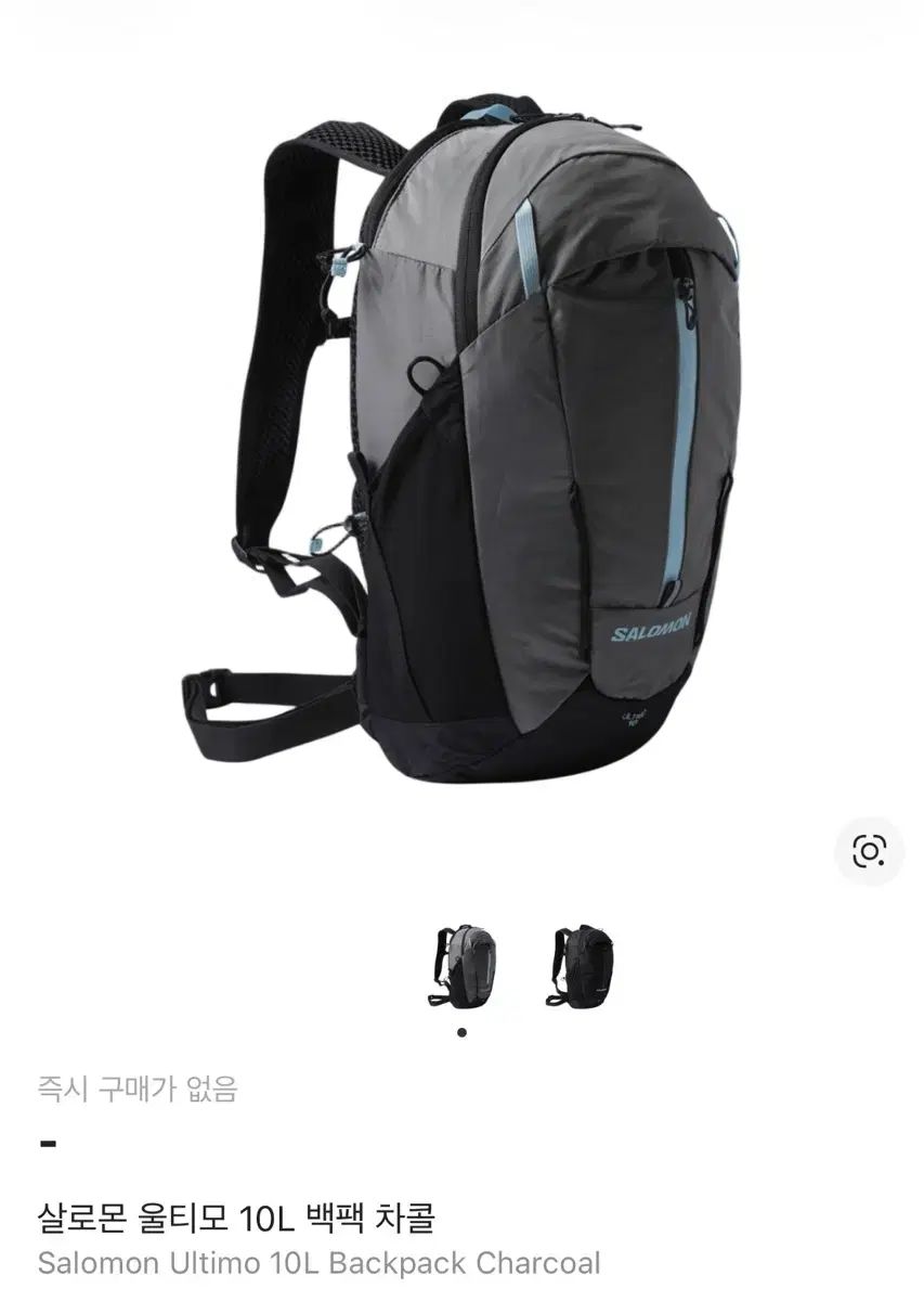 サロモン ウルティモ 10L