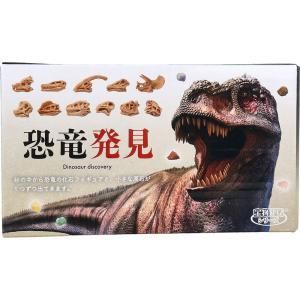 【新品・5営業日で発送】ノルコーポレーション 【宝物発見】恐竜発見 知育玩具 ケース販売 恐竜 発掘 (TKZ-39-01)【入数:12】 8,813円