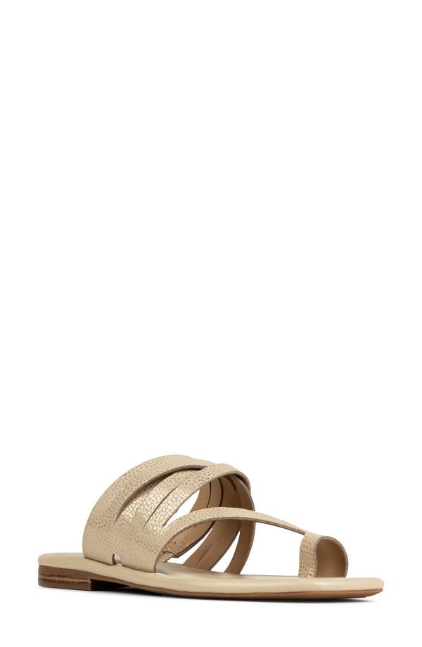 ドナルドプリネール レディース シューズ サンダル Donald Pliner Hazie Toe Loop Sandal Platinum
