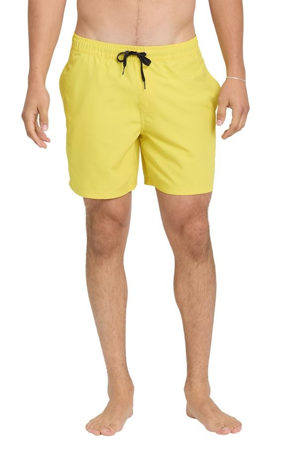クイックシルバー メンズ 水着 ハーフパンツ・ショーツ Quiksilver Everyday Volley 15Inch Swim Trunks Acacia