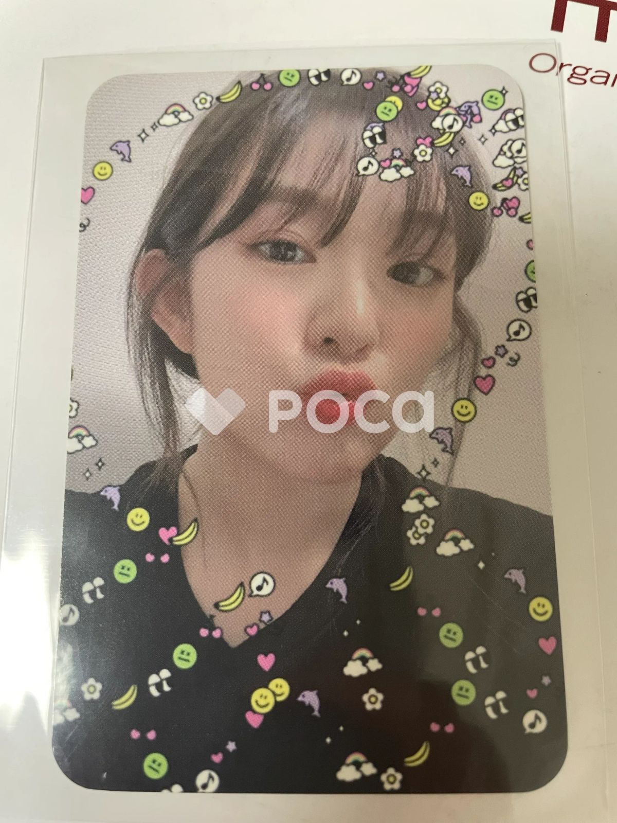 レドベル アイリーン Red Velvet 3rd Concert La Rouge TICKET HOLDER + PHOTO CARD SET