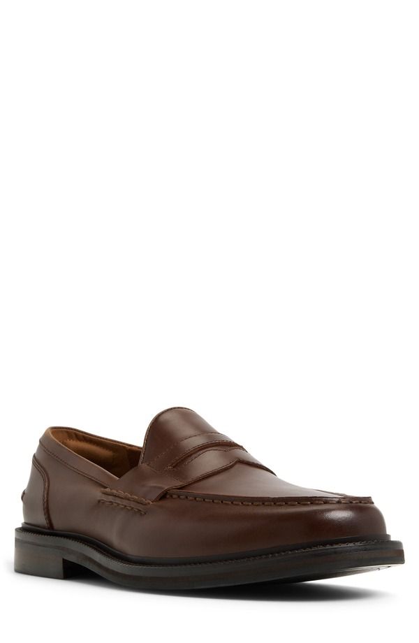 アルド メンズ シューズ ローファー ALDO Buckley Penny Loafer Other Brown ブラウン