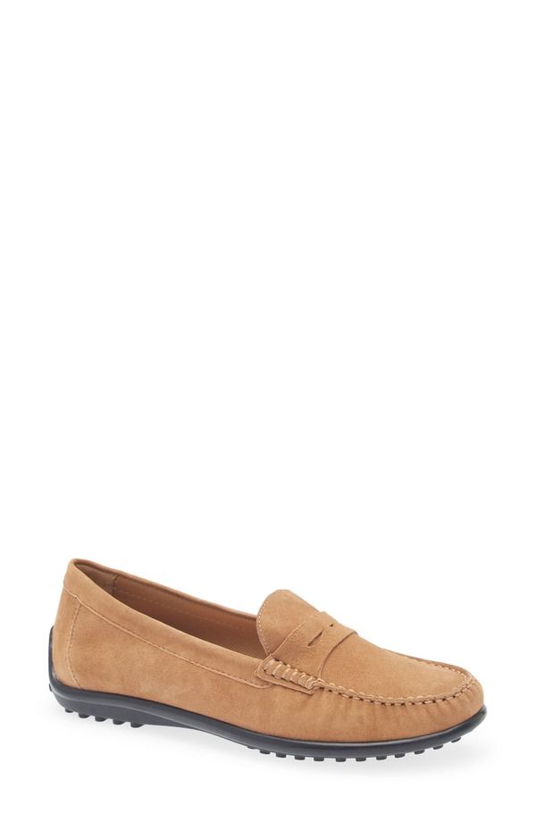 ザフレックス レディース シューズ スリッポン・ローファー The FLEXX Winter Driving Shoe Sigaro Camoscio