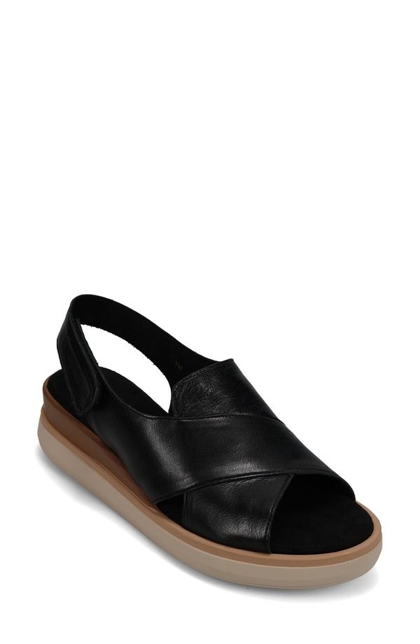 ベネリ レディース シューズ ヒール サンダル VANELi Hydra Slingback Sandal Black ブラック