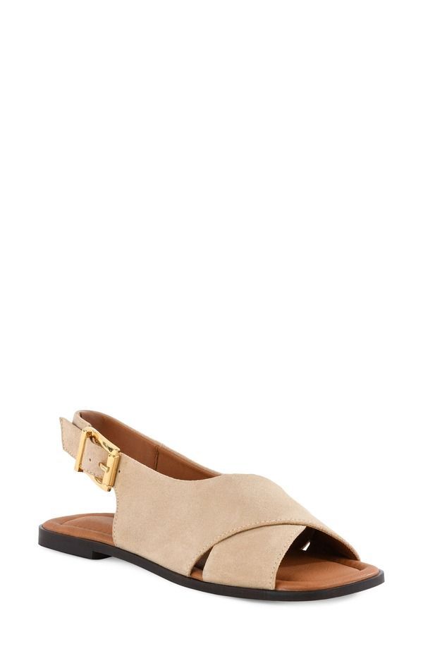セイシェルズ レディース シューズ サンダル Seychelles Good Hearted Slingback Sandal Sand サンド