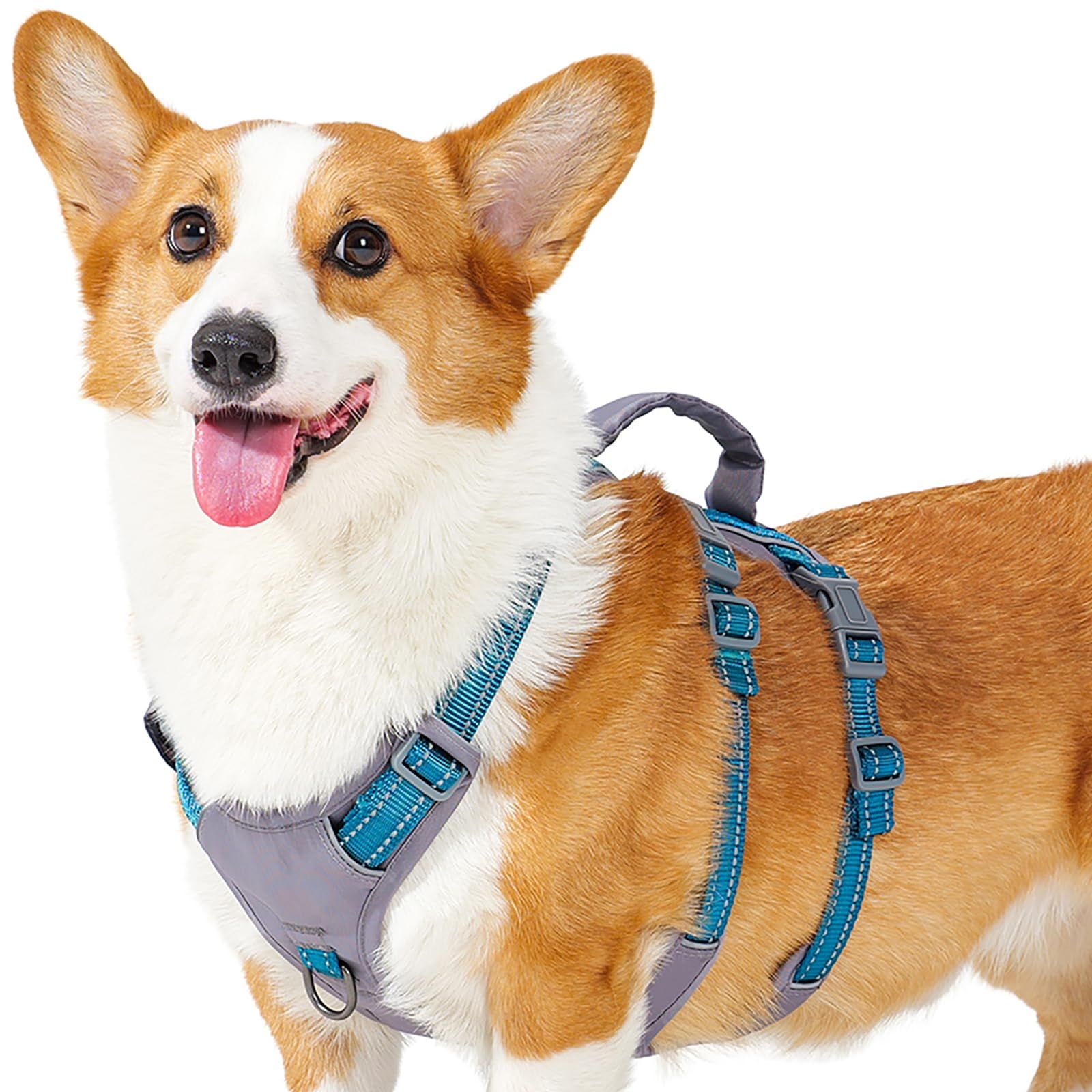 Huntboo 犬 ハーネス 小型犬 中型犬 犬用ハーネス 引っ張り防止 抜けない サイズ調整可能 夜間反射 咳き込み防止 歩行補助 訓練 散歩 大型犬 柴犬 (テールブルーM)