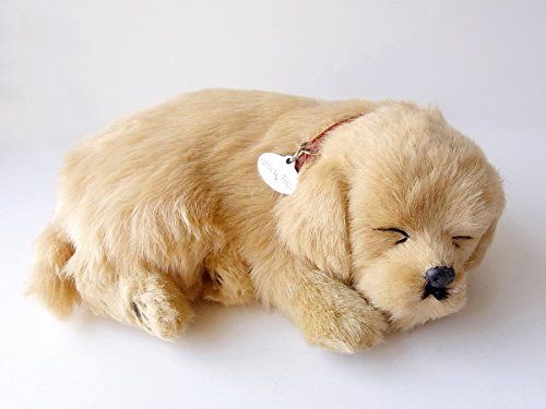 ニニアンドキノ パーフェクトペット (小サイズ) レトリバー ぬいぐるみ 犬 いぬ イヌ リアル 本物 そっくり 雑貨 動物 アニマル 癒し 動く プレゼント ギフト お祝い かわいい 犬のぬいぐるみpms 882b69a4