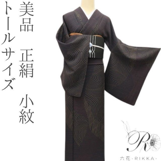 六花-RIKKA- 美品 正絹❀黒紅色の海峡❀トールサイズ 小紋 着物 A5206