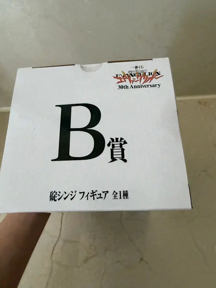 エヴァンゲリオン 30周年 一番くじ シンジ フィギュア B賞 未開封 エヴァンゲリオン 30周年 一番くじ シンジ フィギュア B賞 未開封