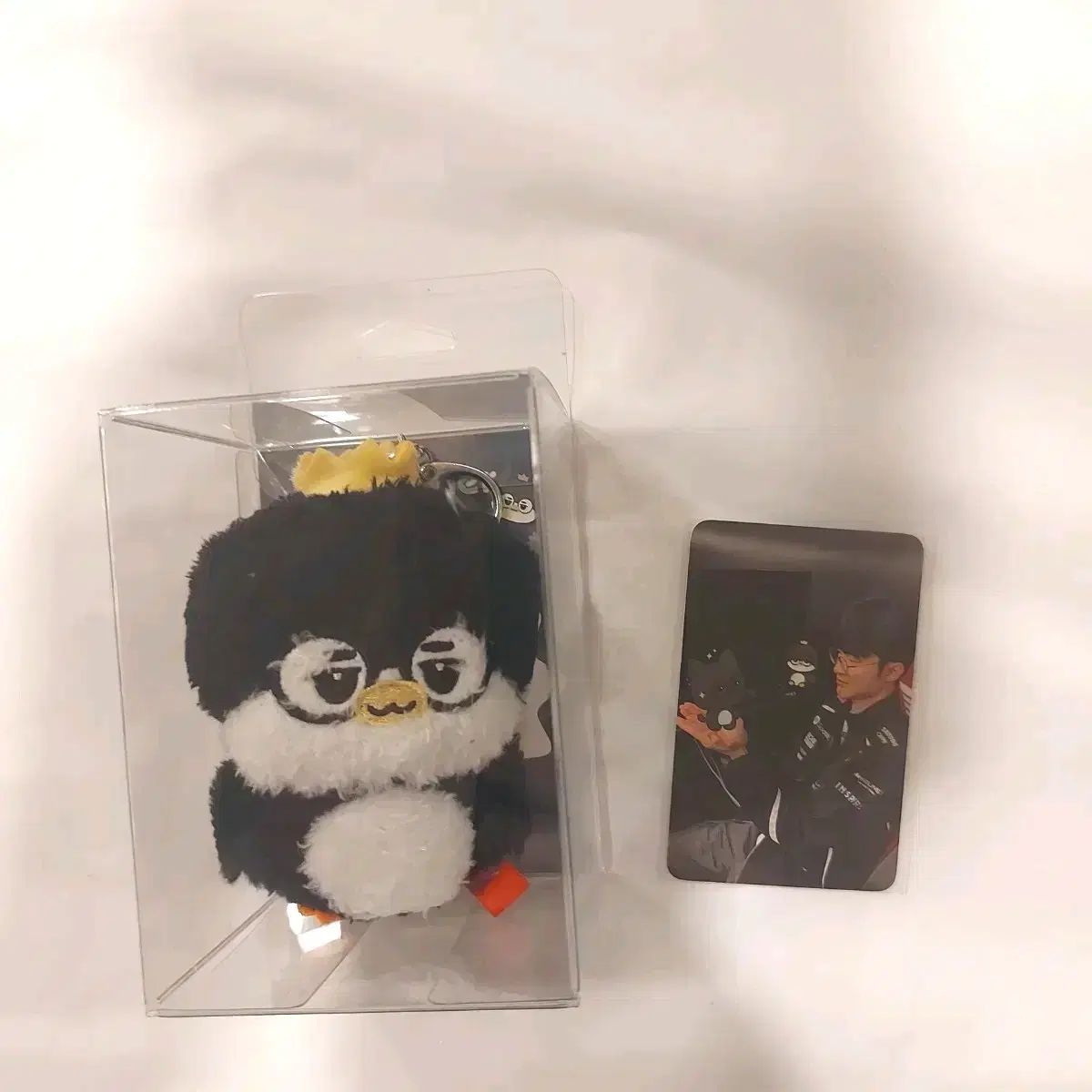 ヘビお　DAY11 ヘビお DAY11-東京 公式 チケット 販売 サイト