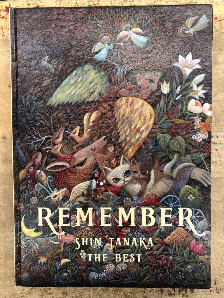 たなかしん REMEMBER たなかしんベスト作品集