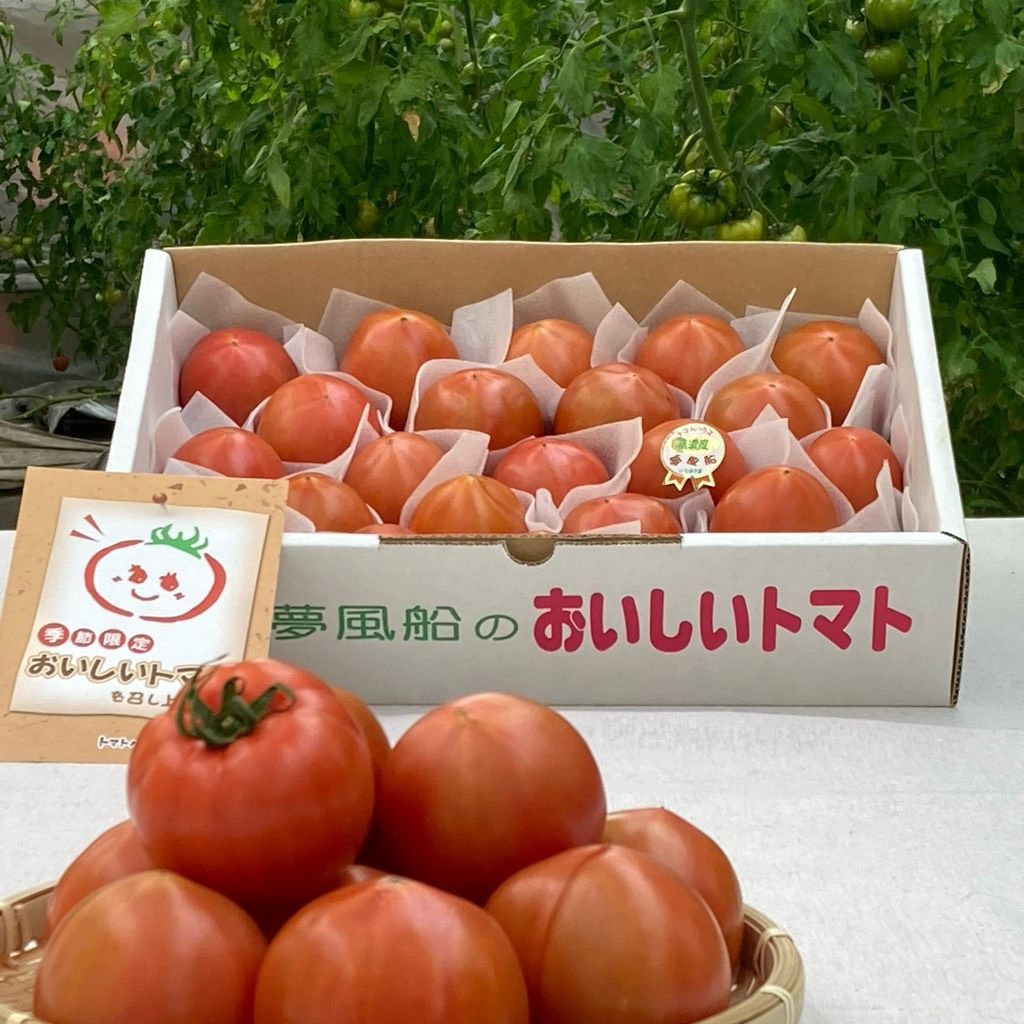 【今が旬！夢風船のフルーツトマト『おいしいトマト』2箱セット】