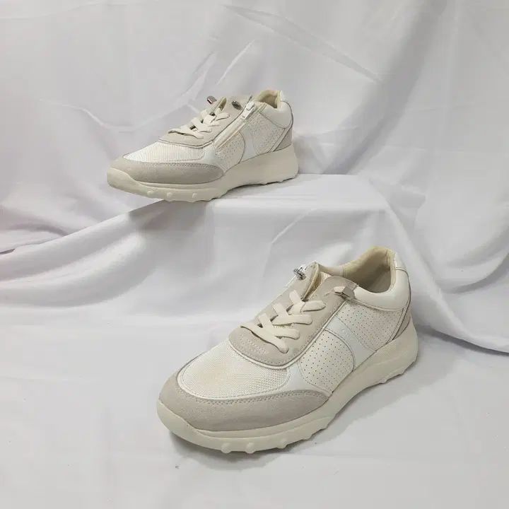 デュハヴィンテージ 39/250 GEOX(ジェオックス) アレーニ スニーカー