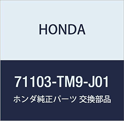 新品 HONDA (ホンダ) 純正部品 グリル フロントバンパーロアー インサイト インサイト エクスクルーシブ 品番71103-TM9-J01