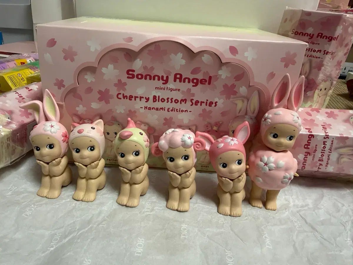 Cherry Blossom Hanami (6+シークレットハニー)
