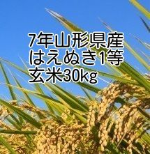 7年度山形県産はえぬき30k玄米(検査一等米)
