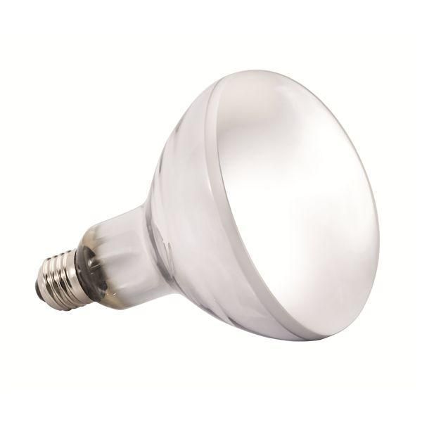 ジェックス ソーラーグローUV 80W PT2334 爬虫類・両生類用品