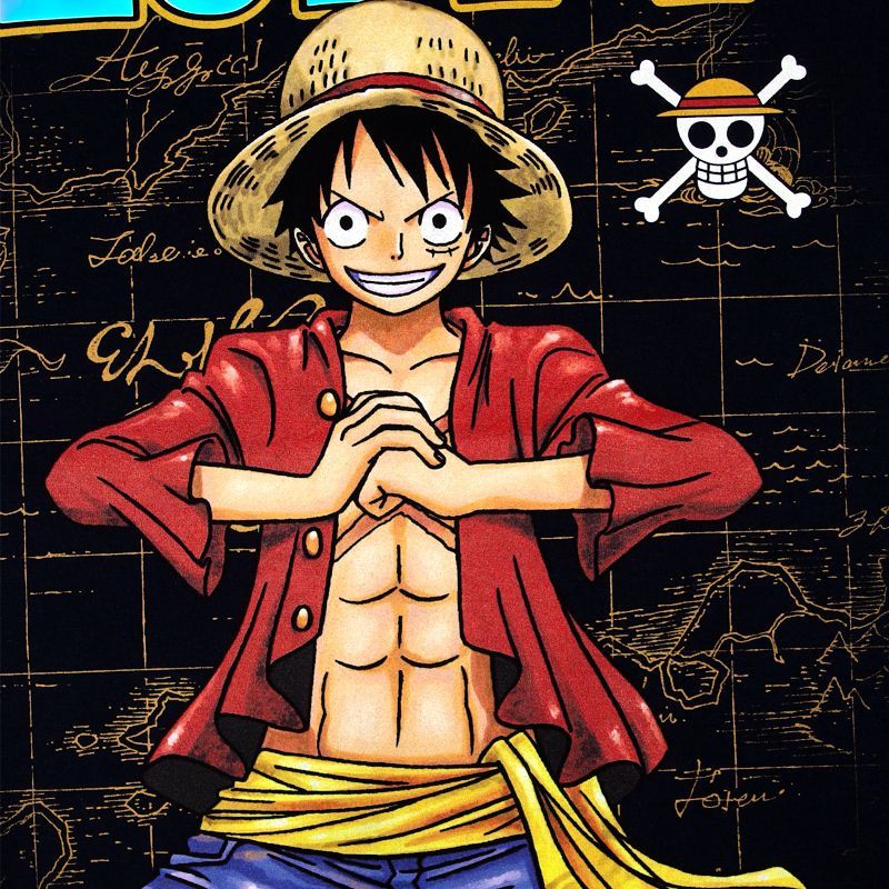 ONEPIECE ワンピースTシャツ 日本未発売インポート商品 onepiece 半袖