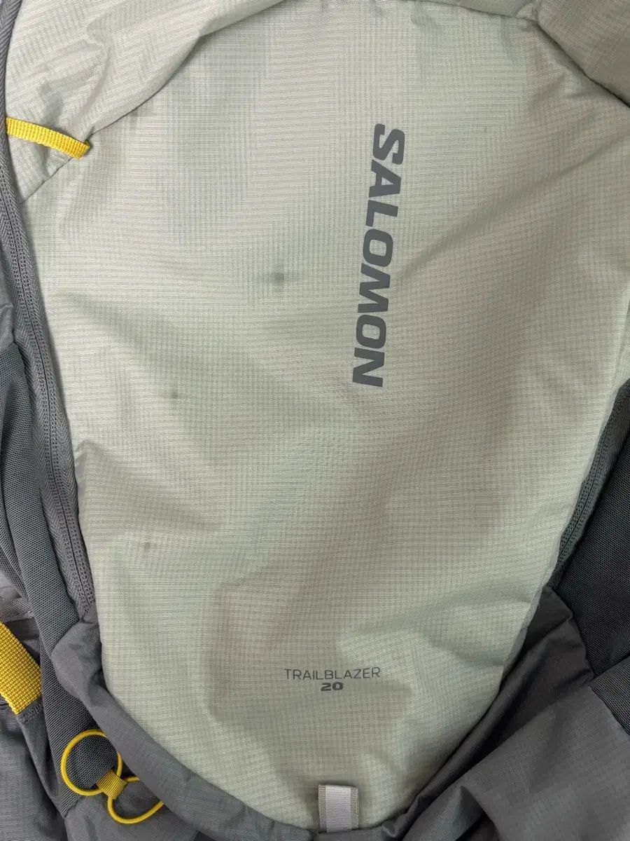 SALOMON サロモン トレイル ブレーザー 20 バックパック