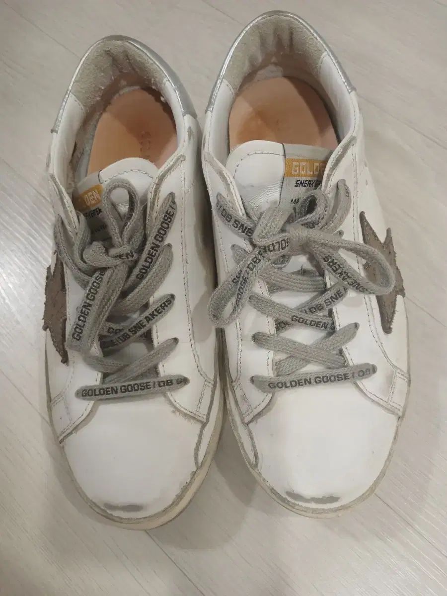 ゴールデングース キッズ 35