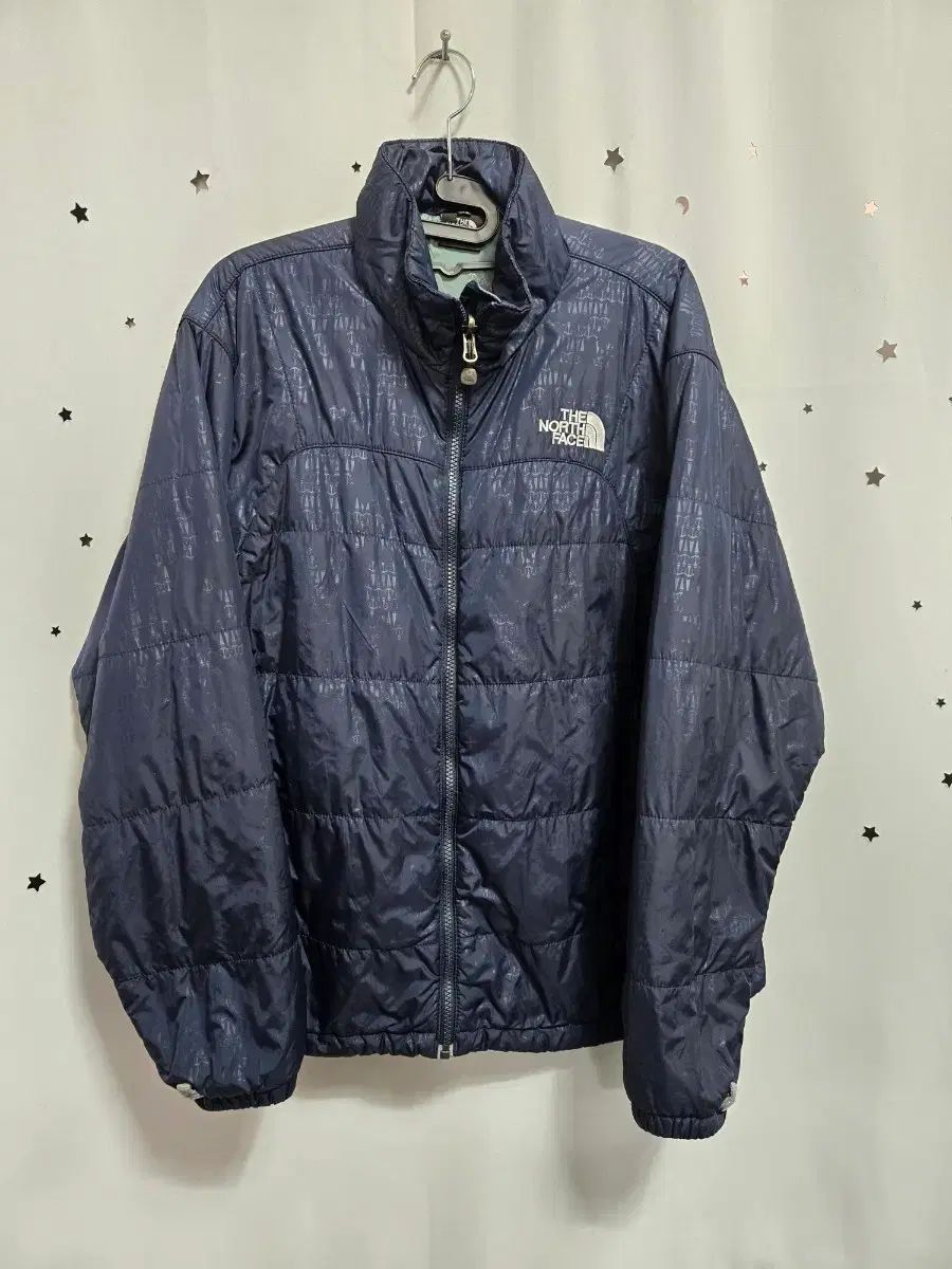 THE NORTH FACE ザノースフェイス ネイビー ダウン アウター 100_6