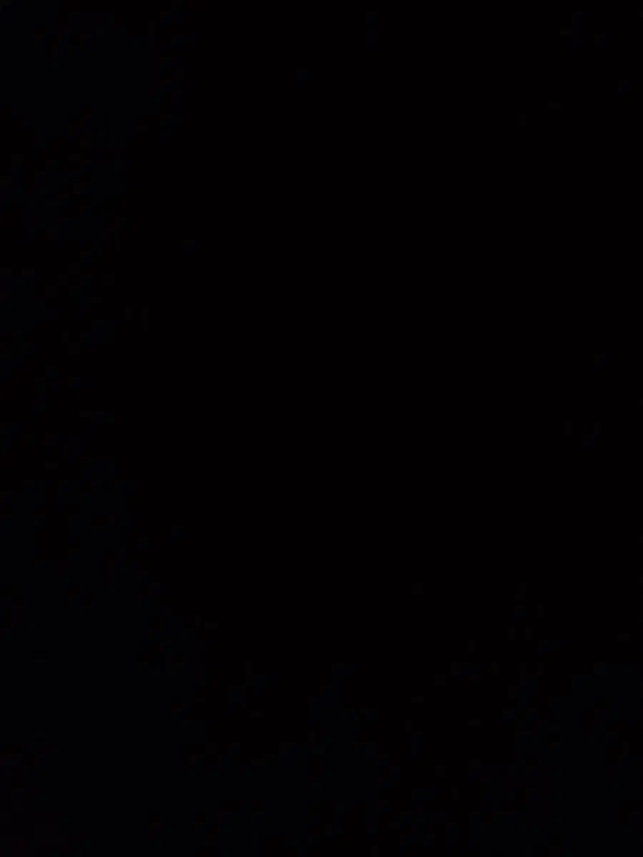 サーチパック