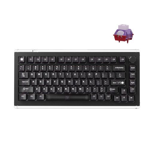 DrunkDeerA75Masterラピッドトリガーキーボードeスポーツゲーミングキーボード磁気スイッチ調節可能な作動-RTPlus-RTマッチ0.01mm8KHz75%デザイン-ANSIブラック-TTC