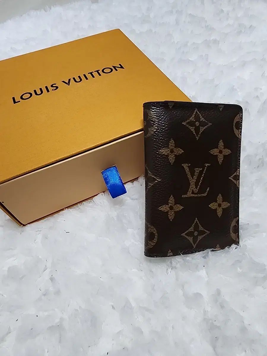 Louis Vuitton ルイヴィトン オーガナイザー