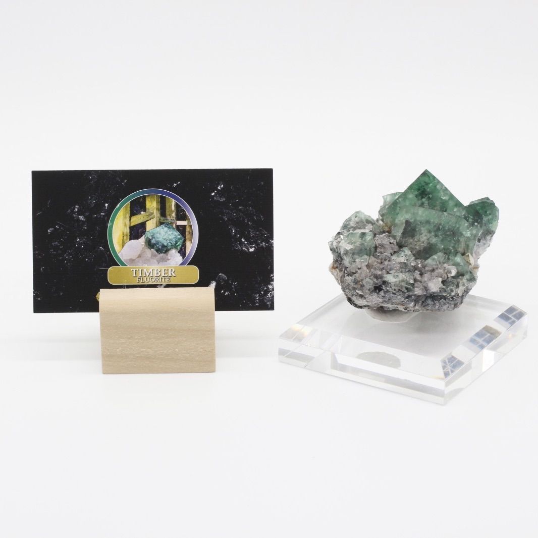 TIMBER POCKET 英国UKMV公式ラベル付 フローライト