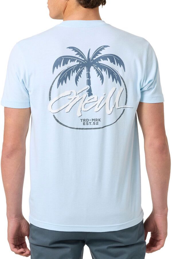 オニール メンズ トップス Tシャツ ONeill Mens Homegrown TShirt Sky Blue Heather ヘザー