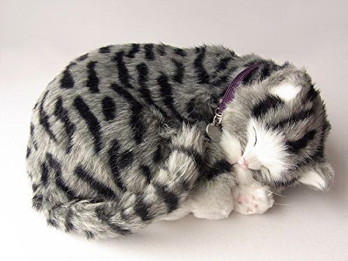 ニニアンドキノ パーフェクトペット (小サイズ) サバトラ猫 ぬいぐるみ 猫 ねこ ネコ リアル 本物 そっくり 雑貨 動物 アニマル 癒し 動く プレゼント ギフト お祝い かわいい 猫のぬいぐるみ@ f7c3702b