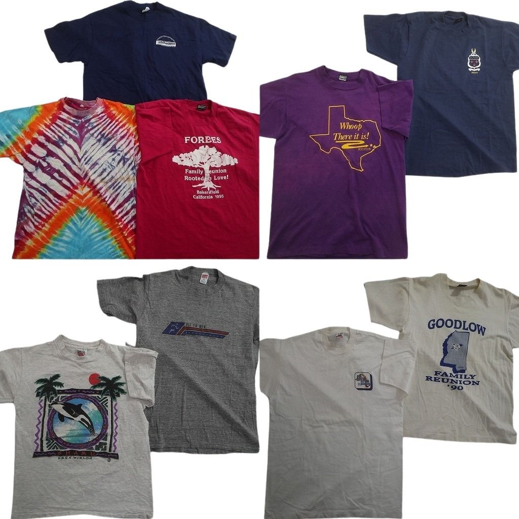 古着卸 まとめ売り シングル Tシャツ 9枚セット ( メンズ L ) ヘインズ フルーツオブザルーム タイダイ柄 中古 古着 NE6520