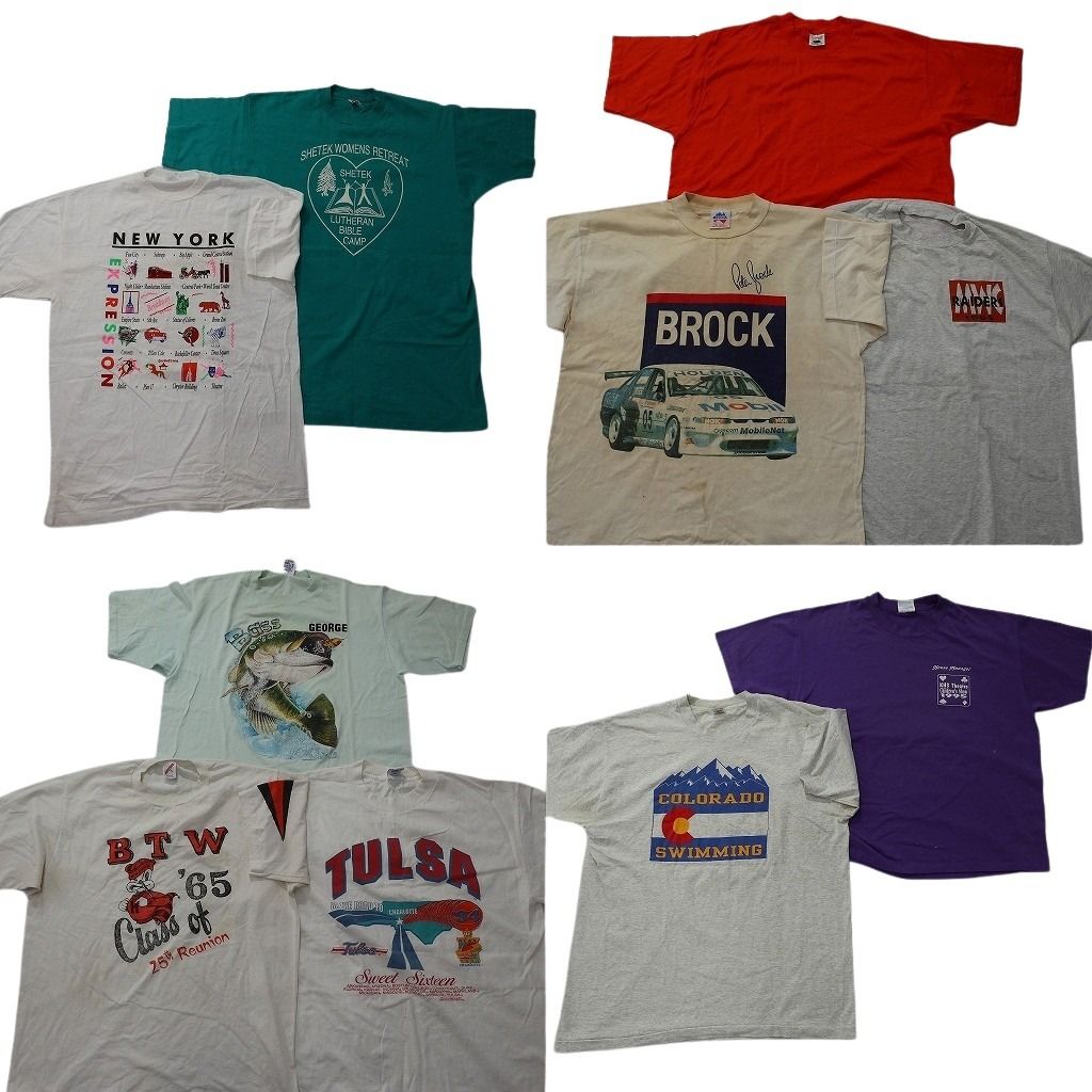 古着卸 まとめ売り シングル Tシャツ 10枚セット ( メンズ XL/L ) ジャージーズ フルーツオブザルーム アニマル フィシュ 中古 古着 NE6557