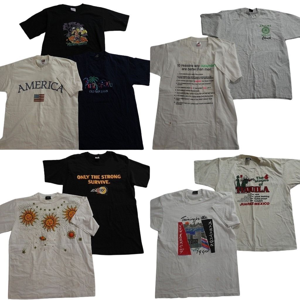 古着卸 まとめ売り シングル Tシャツ 9枚セット ( メンズ L ) 英文字プリント ワンポイント フルーツオブザルーム 中古 古着 NE6686